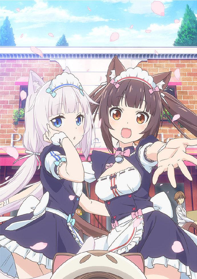 精灵动漫《nekopara》tv动画化决定!